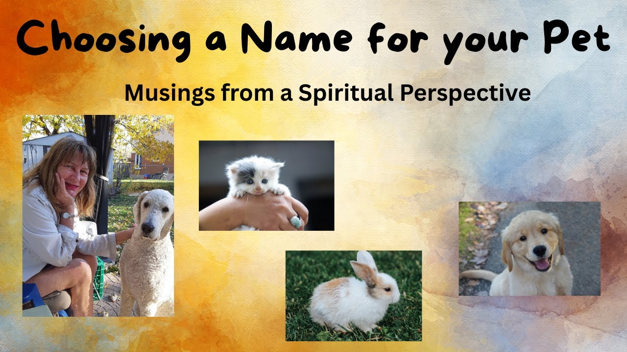 Выбор имени для вашего питомца