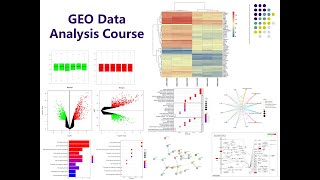 NCBI GEO Data Analysis Course