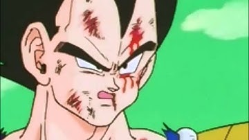 TFSA: Tetris and Silly Gohan