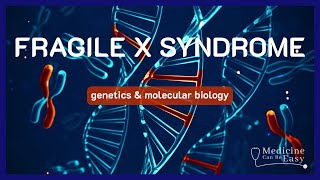 The Genetics Behind Fragile X Syndrome (+ NOTES)