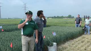 Potential far-reaching benefits of precision planting wheat