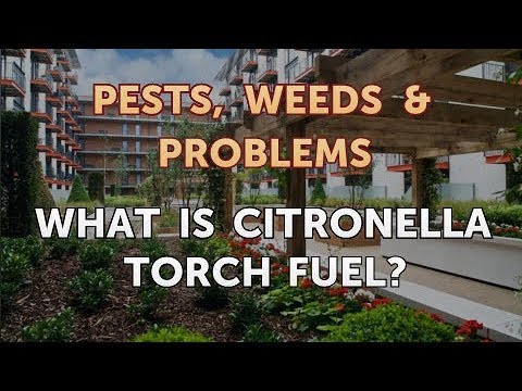 What Is Citronella Torch Fuel? - YouTube