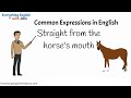 Straight from the horses mouth common expressions daily use englishvocabulary