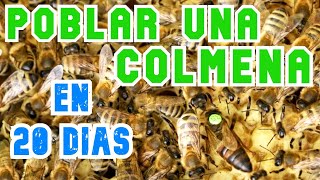 Aumentar La Poblacin  Partiendo De Un Ncleo  