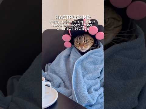 Строим дома по всей Калининградской области! #стройка #дом #ремонт