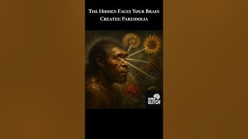 Why Your Brain Sees Faces Everywhere