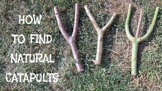 How to Find Natural Slingshots