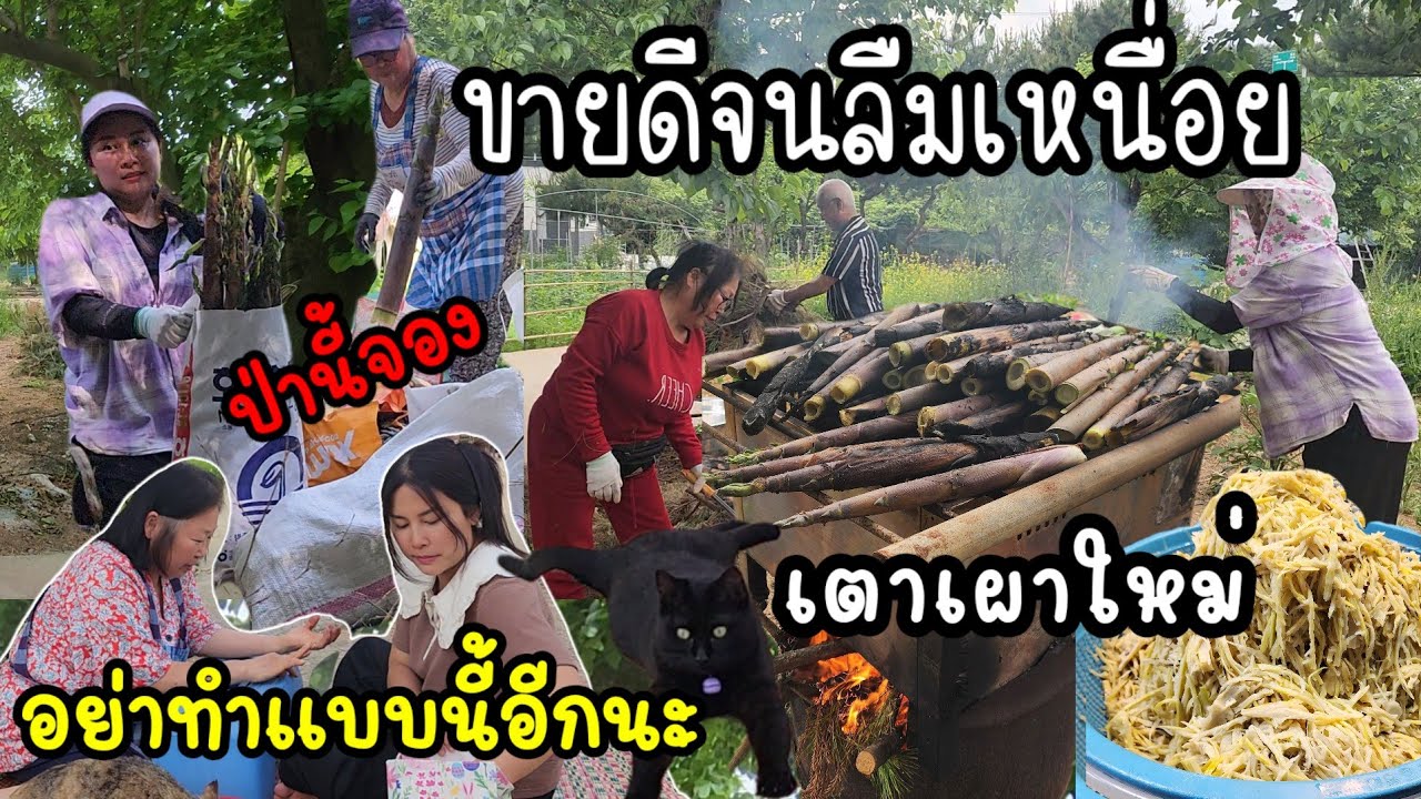 รู้ไหมใครโสด 2024 | Ep.19 (3/5) | 2 มิ.ย. 67 | one31