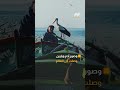 صياد تركي يتحدث مع الطيور.. صداقة أدهشت العالم