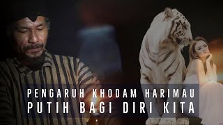 Ketahui disini - Pengaruh Khodam Harimau Putih Bagi Diri kita