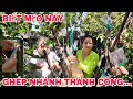 GHÉP CÀNH CHO CÂY ĂN TRÁI THEO NHỮNG MẸO NÀY THÀNH CÔNG NHỮNG MẸO BẠN CHƯA TÙNG BIẾT?