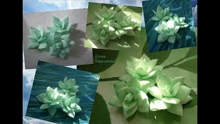 Мастер класс суккуленты из фоамирана Master class succulents from foamiran