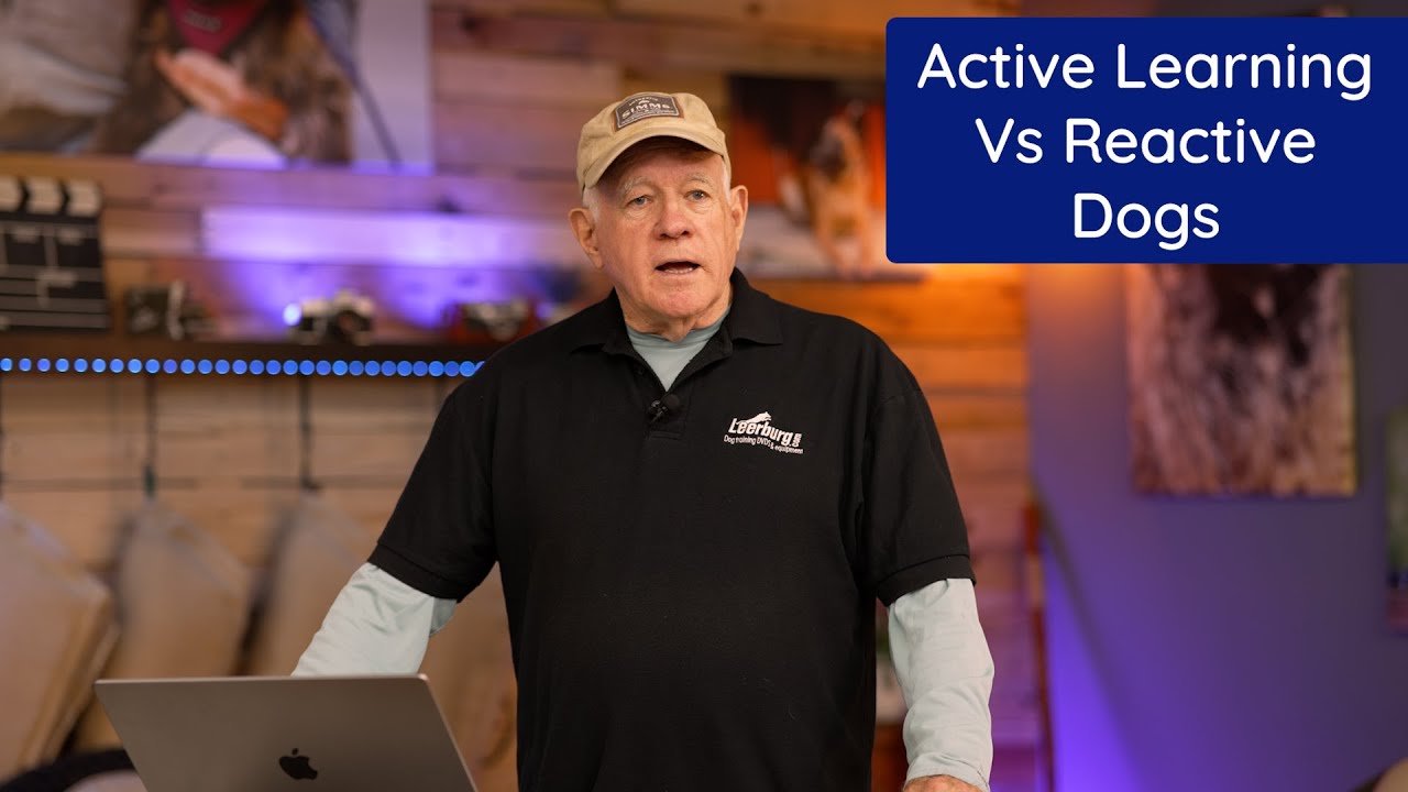 Active Learning Vs Reactive Dogs | Dog Sports Training - YouTube