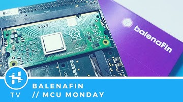 balenaFin // MCU Monday