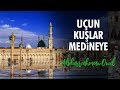 Uçun Kuşlar Medineye - Abdurrahman Önül | İlahiler