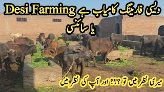 Traditional Yani Desi Farming Or Itne Kaml K Janwar Buffalo Topcl