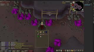 Celastrus bark gem mining | Lazy tick manip | 86k mining exp/hr | Explanation + Example