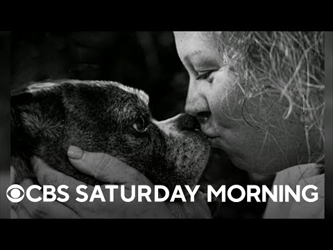 Video: 7 neticami dievbijīgs suņu un dzīvnieku nepāra pāris