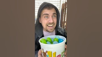 Easter Egg Hunting. #easter #easteregghunt