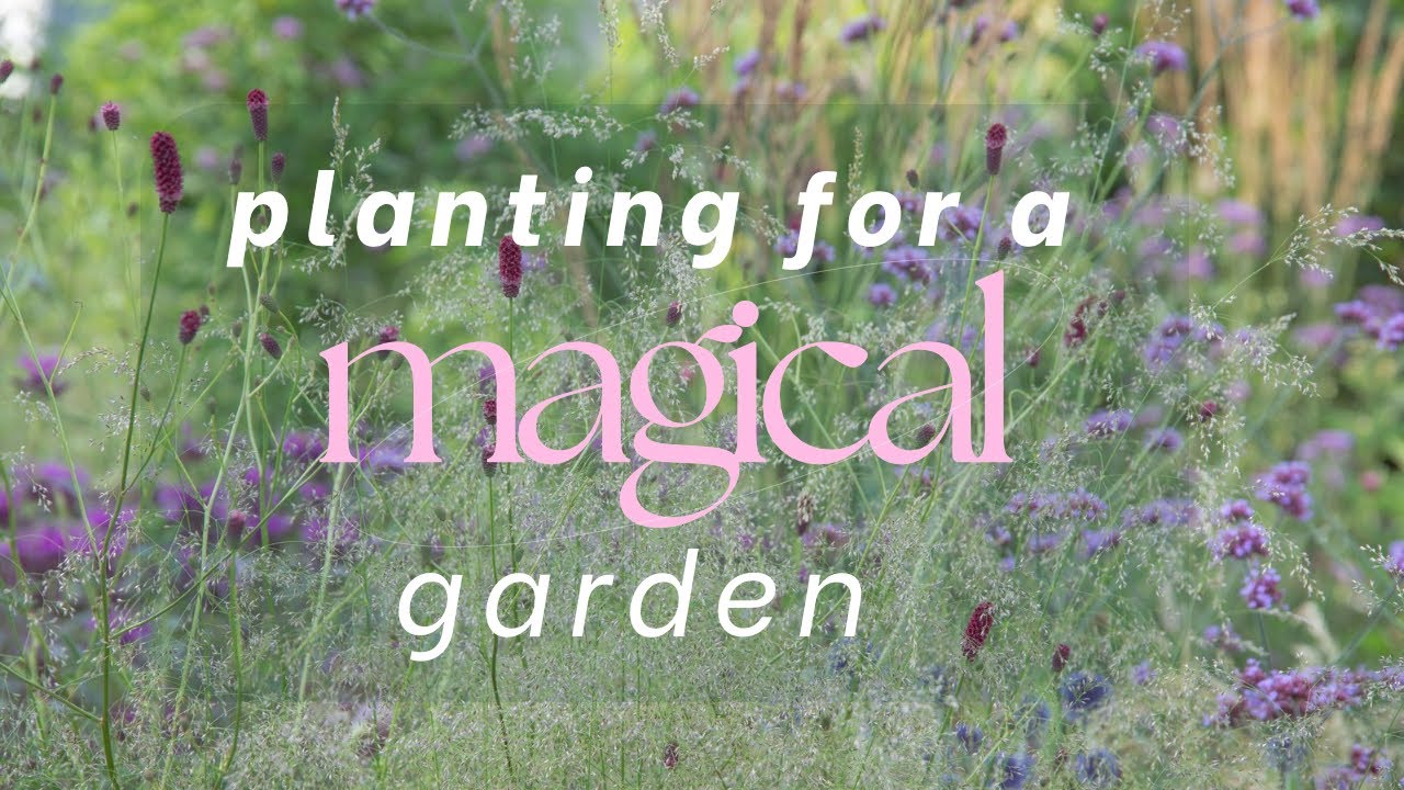 Воздушные растения для волшебного сада