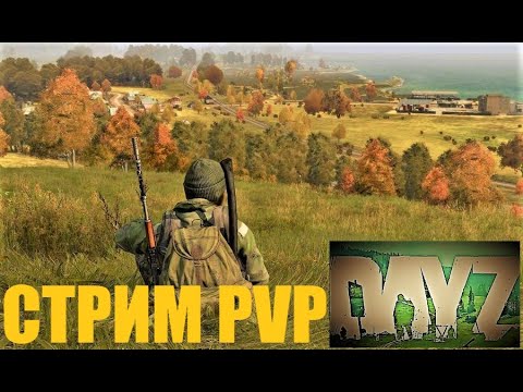 Видео: ⭐DayZ⭐Выживаем👍Схроны .  Атмосферное выживание PVP сервер .