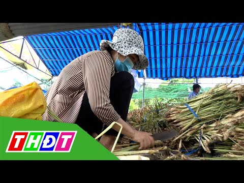 Video Quà quê gửi bà con vùng dịch | THDT - youtube