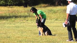Ranger Sch II Obedience