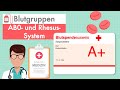 Blutgruppen  ab0 und rhesussystem einfach erklrt