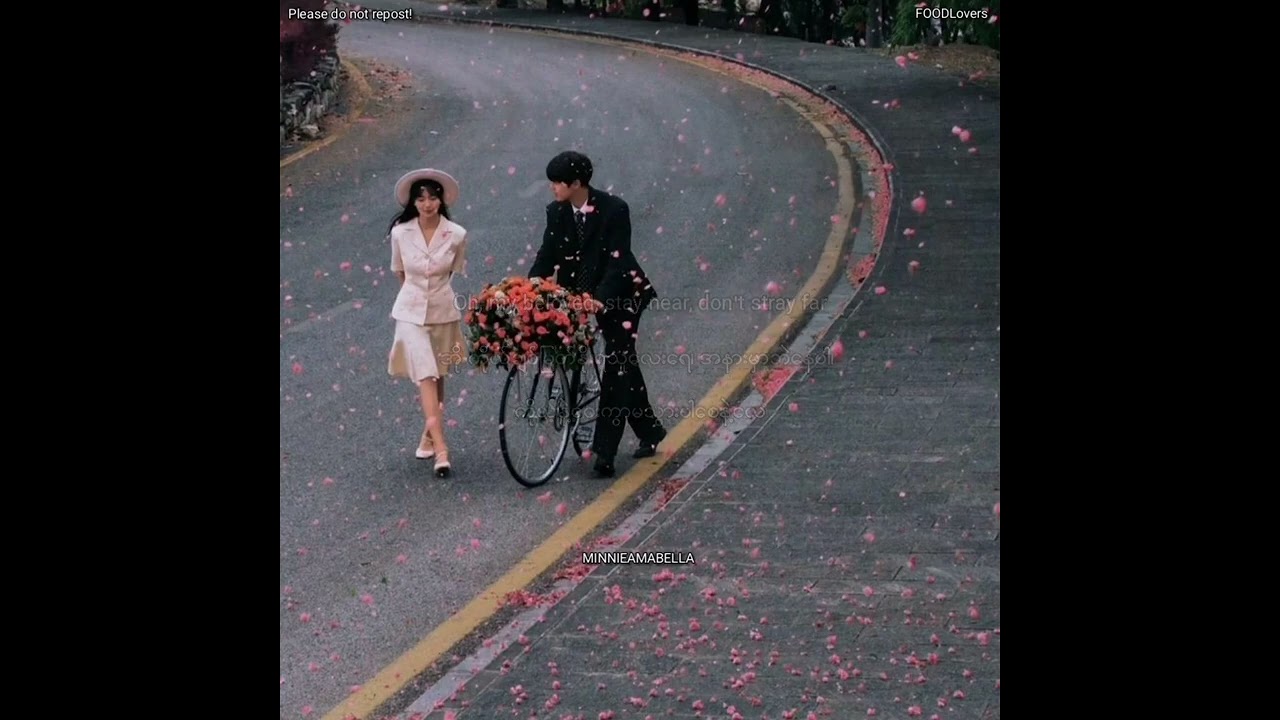 Ve Haaniyaan _ Danny, Avvy Sra ,Myanmar Translation+ English Translation