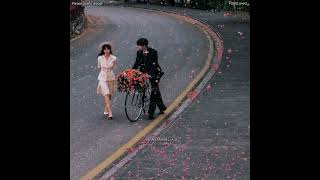 Ve Haaniyaan   Danny Avvy Sra myanmar Translation English Translation