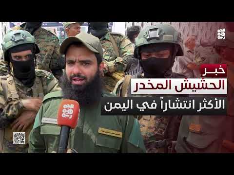 تهريب الحشيش من المهرة إلى عدن: جهود لمواجهة الآفة