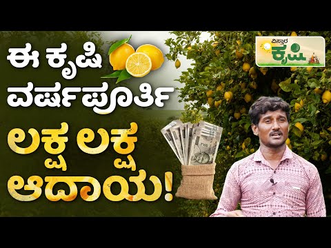 Lemon Farming In Kannada| Nimbe Besaya | ನಿಂಬೆ ಗಿಡಗಳಿಂದ ಎಷ್ಟು ವರ್ಷ ಇಳುವರಿ ಪಡೆಯಬಹುದು ಗೊತ್ತಾ?