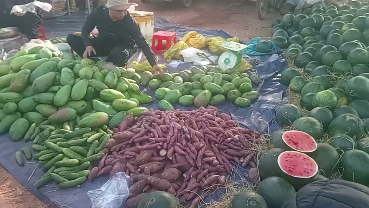 kiab hmoob zos 15 xav ea rok dak lak