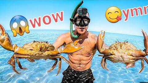 Island Survival Only Using My Bare Hands To Catch Food.