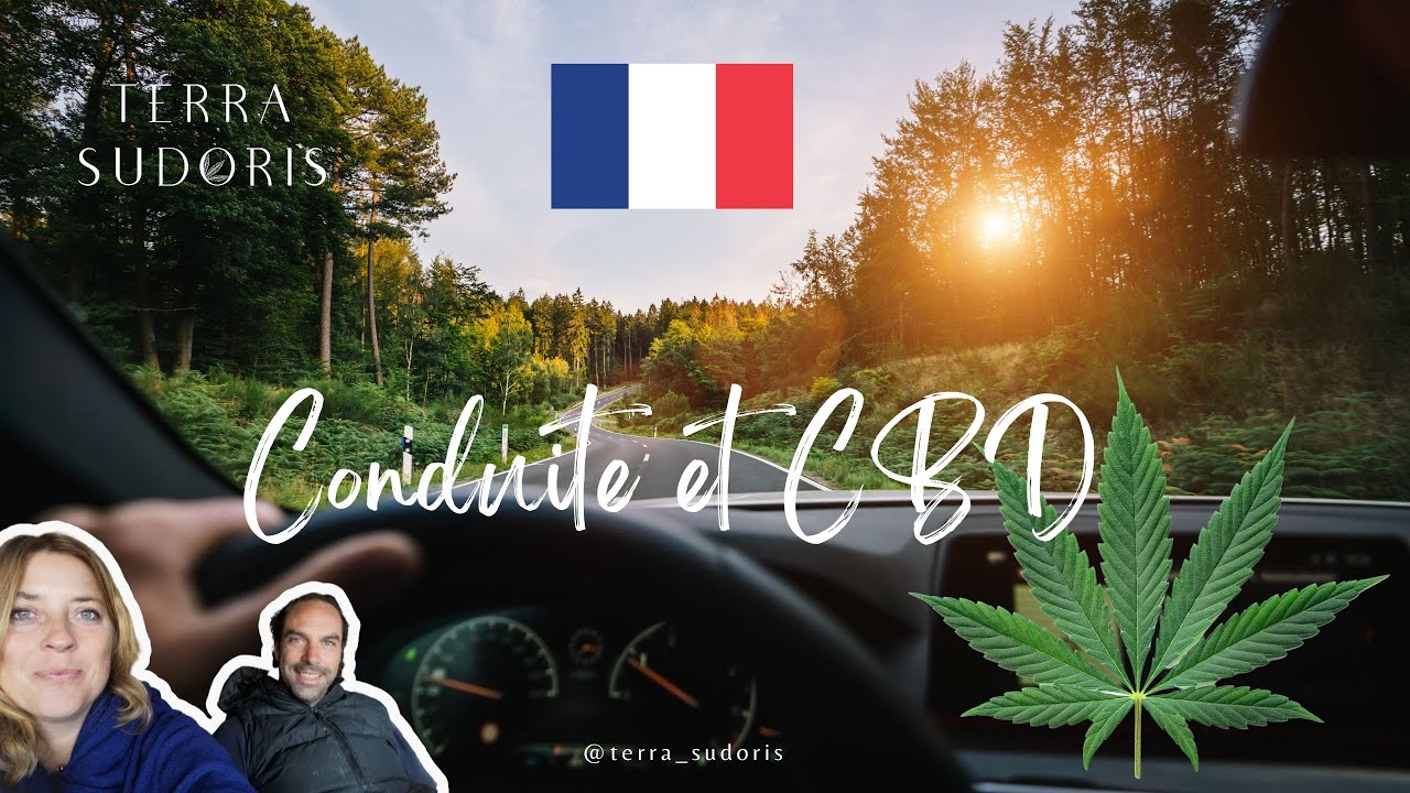 CBD et permis de conduire. Peut-on conduire et fumer du CBD sans risque ? Tests salivaires en live !