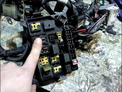 Установил передние ПТФ, есть вопросы? - Daewoo Lanos, 1,5 л, 2006 года электрони