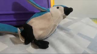 The Blackbird Sleeping