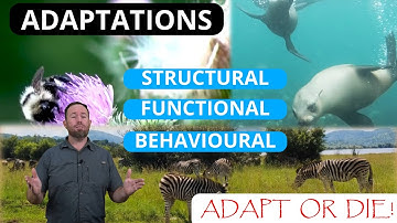 ADAPT OR DIE! How do ANIMALS and PLANTS ADAPT in order to SURVIVE?