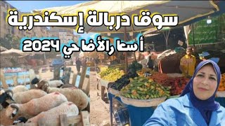 أسواق اسكندرية|سوق دربالة|أسعار اللحمة و اضاحي العيد|أسعار الطيور