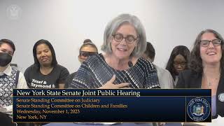 CEO Cathy Cramer Testifies at a New York State Joint Public Hearing on Family Court Details