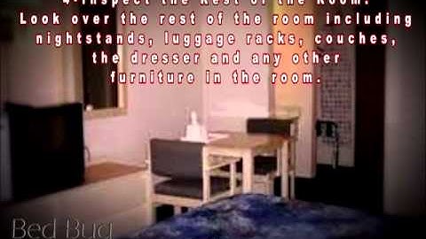 How To Check Hotel Rooms For Bed Bugs by Bed Bug Proactive