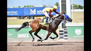 Watch All Races – Saturday, May 16, 2026