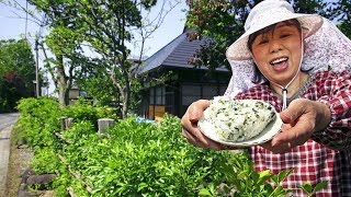 仰天ゴハン　「“食べられる垣根”ウコギ」…山形県米沢市