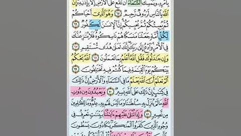 تيسير حفظ سورة الحج بالتكرار الوجه التاسع الايات (65-72) مكرر 5 مرات بصوت الشيخ عبد الباسط عبد الصمد