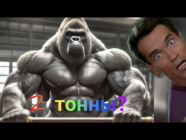 Сколько горилла может поднять веса?