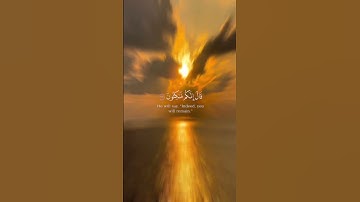 تلاوة عطرة من سورة الزخرف للقارئ خالد الجليل #quran #قرآن #تلاوة_خاشعة #اذكروا_الله_يذكركم #أذكار