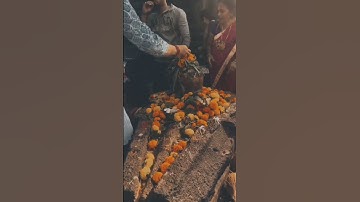 Mere shambhu mere sang rehna status 🌿 Mahadev status video 💫 Bholenath status 🚩 #mahadevstatus