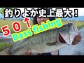 Bass fishing  自己記録更新！TOPで50up！！Bass fishing in Japan Topwater