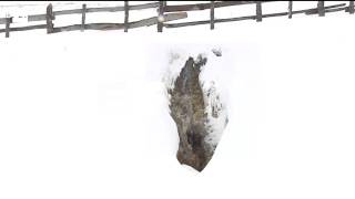 Diez comunidades autónomas, en alerta por nieve