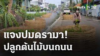 แจงปมดรามา ปลูกต้นไม้บนถนน เพิ่มพื้นที่สีเขียว | 8 พ.ค. 67 | ข่าวเช้าหัวเขียว